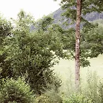 Bachbett - Modernes Gaestehaus Im Salzkammergut