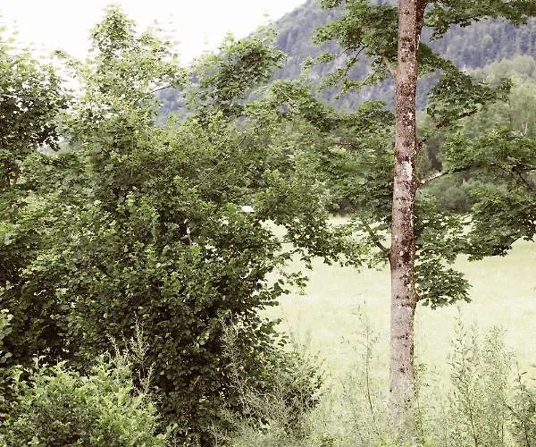Bachbett - Modernes Gaestehaus Im Salzkammergut