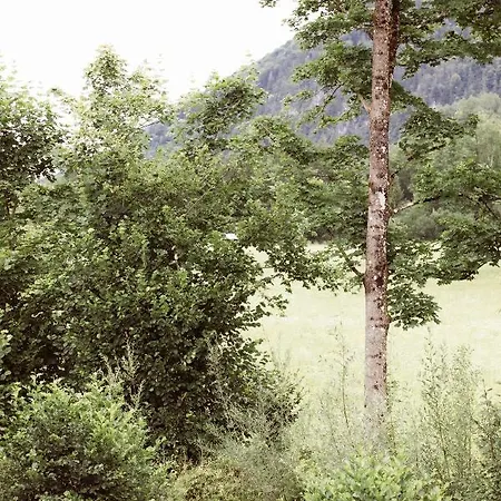 Bachbett - Modernes Gaestehaus Im Salzkammergut